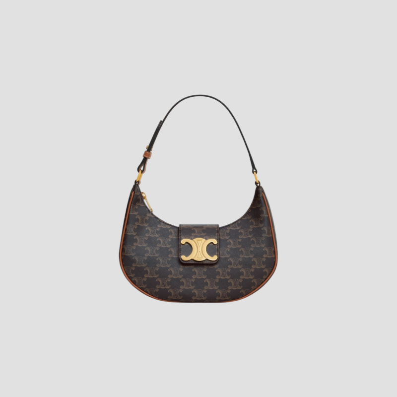 CELINE AVA TRIOMPHE BAG IN TRIOMPHE CANVAS AND CALFSKIN
