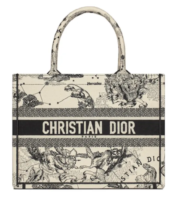 DIOR BOOK TOTE
